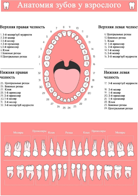 Зубы лечение без анестезии