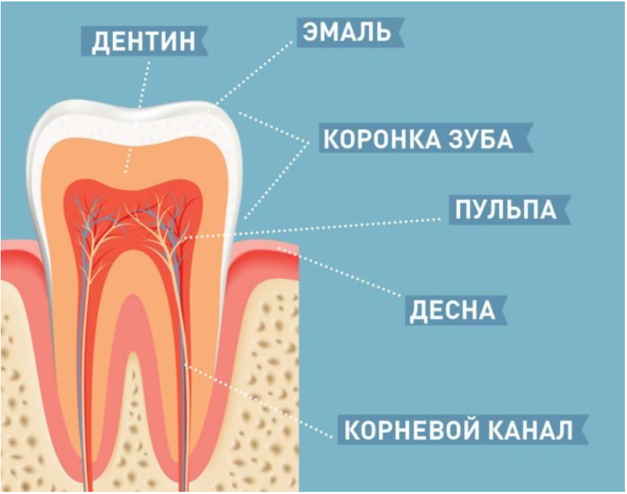 Цены на лечение и восстановление зубов